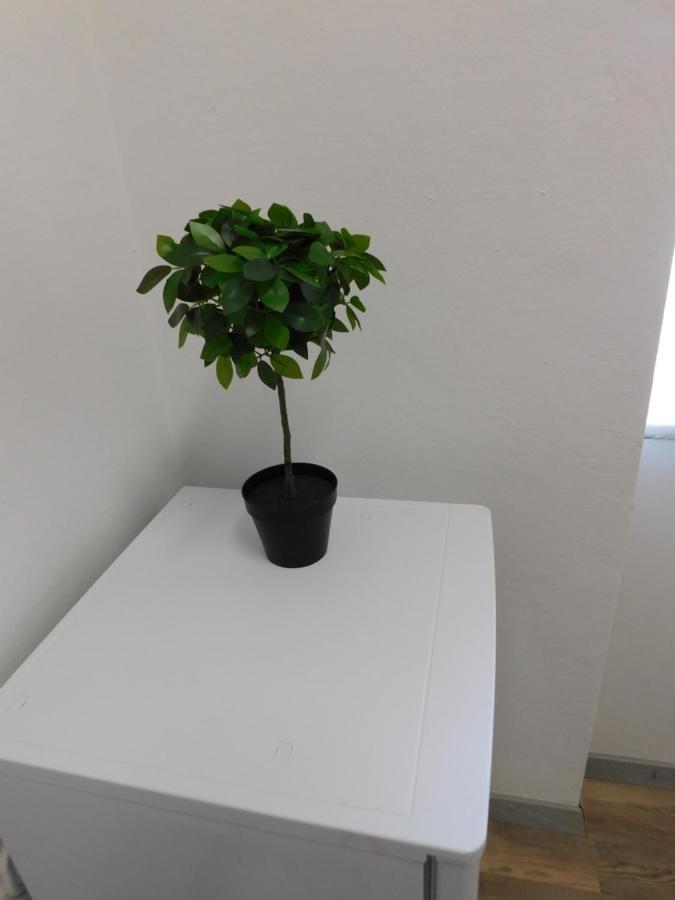 Ledek Apartment 卢布尔雅那 外观 照片